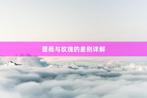 蔷薇与玫瑰的差别详解