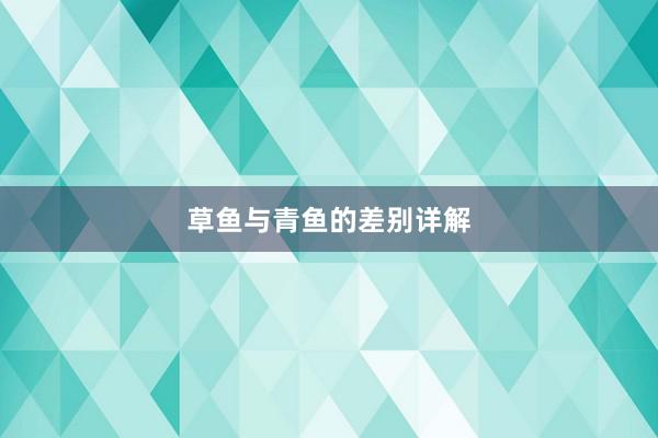 草鱼与青鱼的差别详解