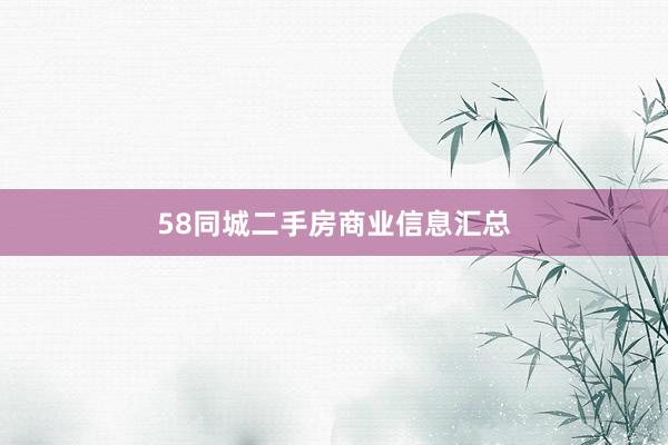 58同城二手房商业信息汇总